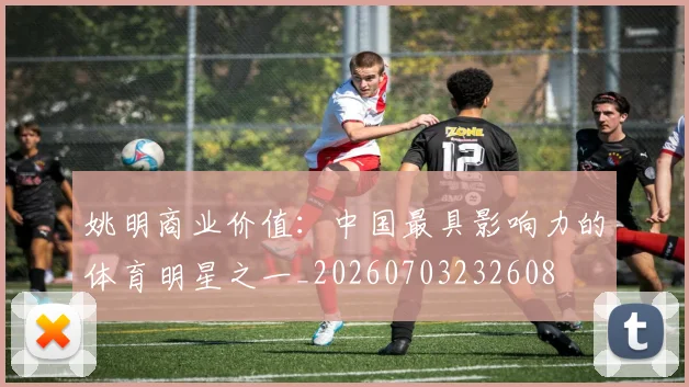 姚明商业价值:中国最具影响力的体育明星之一_20260703232608