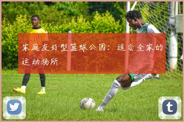 家庭友好型篮球公园：适合全家的运动场所